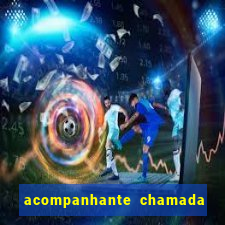 acompanhante chamada de video